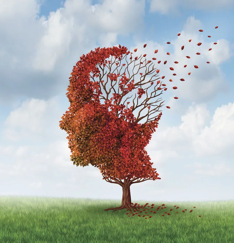 How seniors can maintain a healthy memory