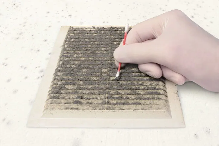 Every breath you take: Mold and bacteria growth indoors is an often unseen health threat