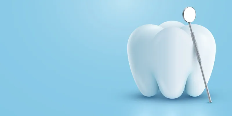 Tooth model with a dental mirror