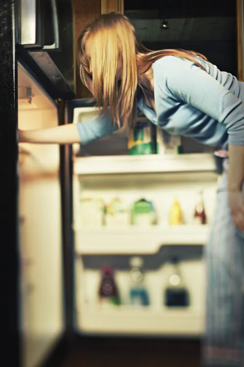 OC Woman in Fridge