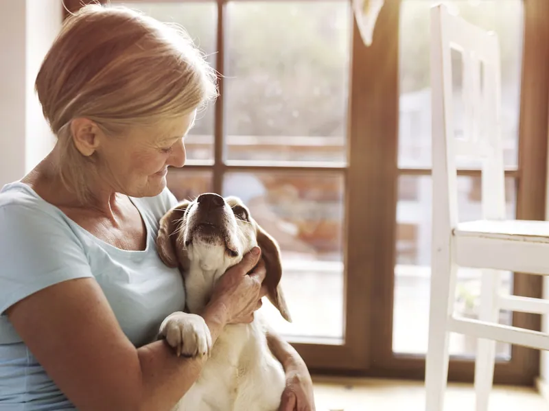 Examining some alternative therapies to treat pets’ aches and pains