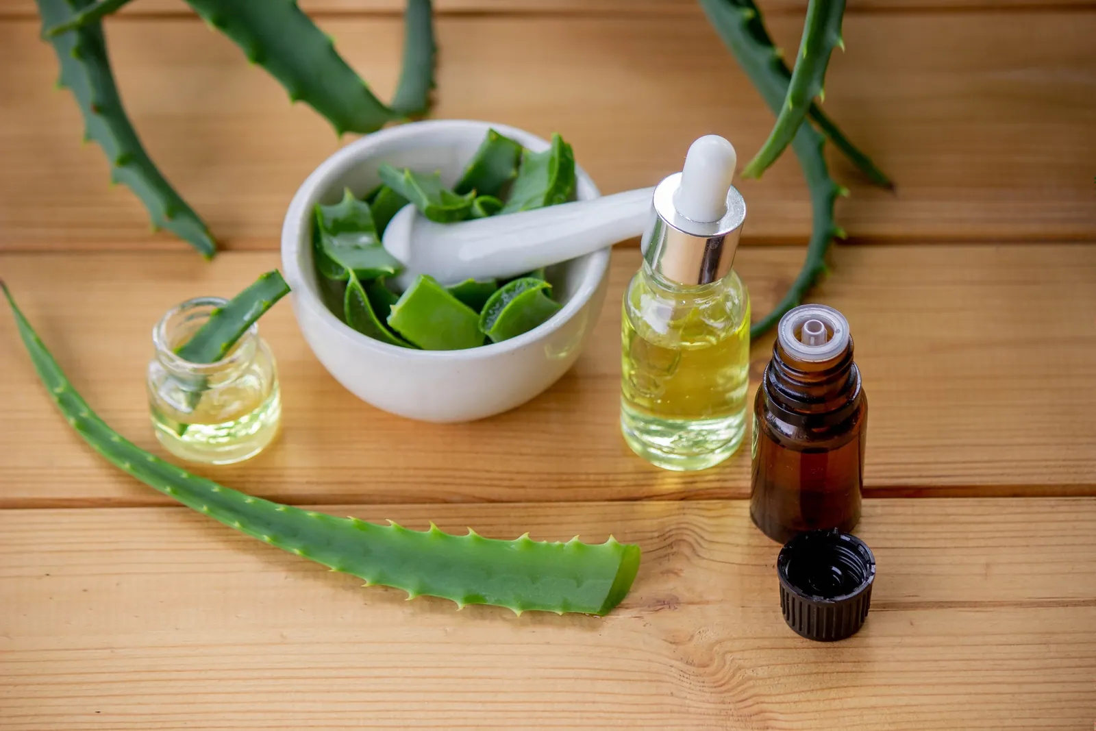 Aloe vera leaves, gel and oil