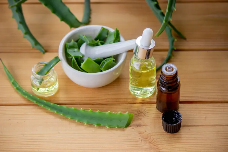Aloe vera leaves, gel and oil