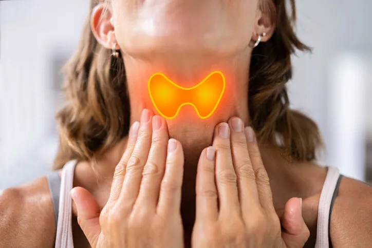 Your Thyroid, Explained