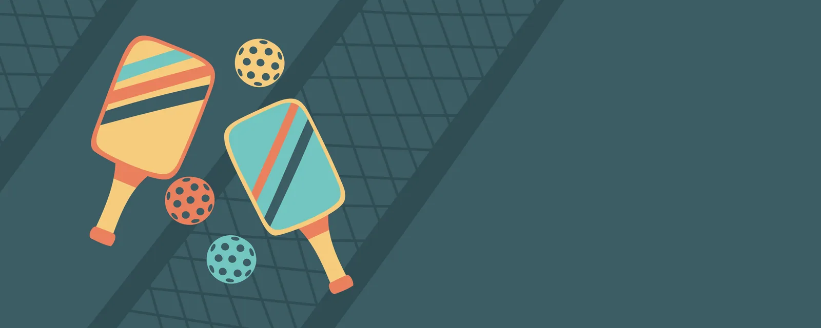 Pickleball paddles and balls